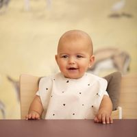 Esslatz plastifiziert 