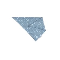 2422 - blue Triangle