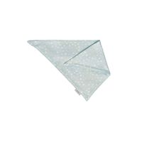 5820 - mint Triangle