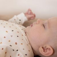 Wickelbody Bambus langarm 