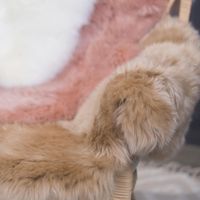 Lammfell ungeschoren camel/beige 