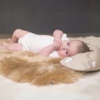 Lammfell ungeschoren camel/beige 