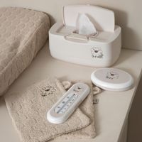 Feuchttücherbox