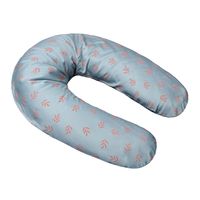 2922 - blue Willow